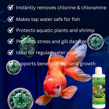 Ocean Free 240Ml Anti-Chlorine Aquarium Water Conditioner – Instantly Removes Chlorine & Chloramine | Safe for Fish, Shrimp & Plants | Freshwater & Saltwater Use