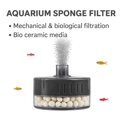 PetzLifeWorld Aquarium Sponge Filter BL - SERIES with 2M Airline Tube | Air-Powered Oxygen Bubble Filter for Small Fish, Betta, Shrimp Tanks | Biological Filtration | Quiet & Gentle | Air Pump Not Included