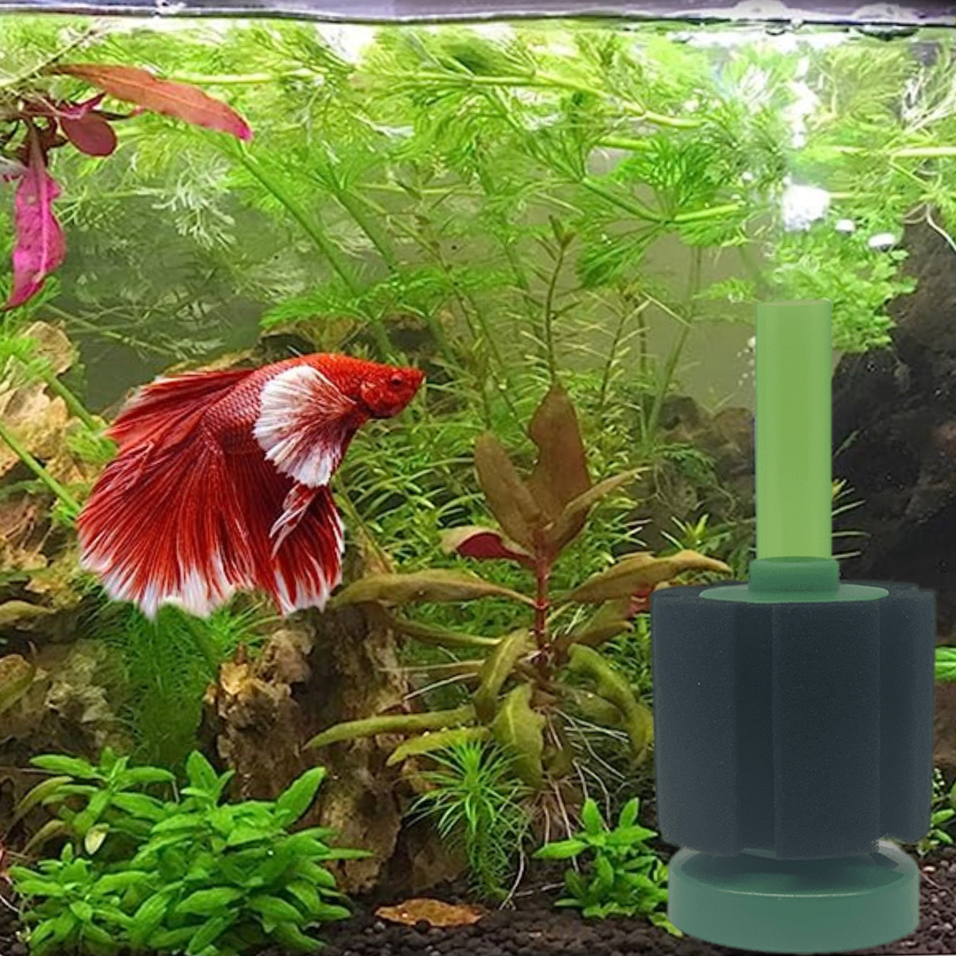 PK-40 Aquarium Black with Green PK Series Bio Sponge Filter for Aquarium Fish Tank