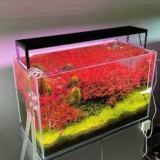 CHIHIROS WRGB II slim 60 cm Full Spectrum LED light With App Control