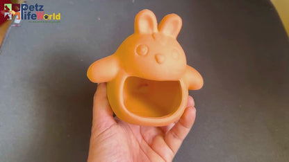 Petzlifeworld (Bunny House Natural Clay Fish Tank Hideout | Aquarium Ornament Decoration for Small Fish & Shrimp | Terracotta Shelter for Resting, Hiding & Aquascaping
