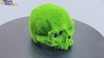 petzlifeworld Moss Skull Aquarium Decoration – Resin Hollow Hideout Cave for Betta, Shrimp & Small Fish | Natural Moss Look Tank Ornament | Safe & Durable Aquascaping Decor