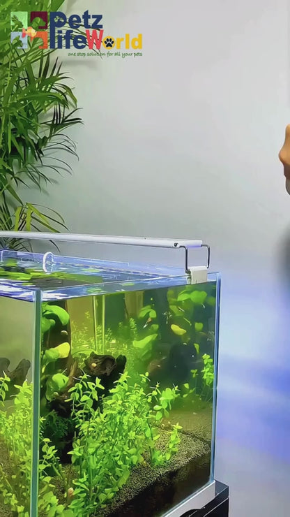 Sunsun Automatic Fish Feeder Intelligent Adjustable Timing (12Hrs and 24Hrs) (AK-01)