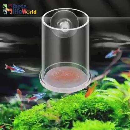 petzlifeworld Transparent Aquarium Fish Feeding Cup with Bottom Micro Mesh Net | Anti-Float Artemia Feeder for Shrimp & Baby Fish | Suction Cup Feeding Station for Micro Pellets & Powder Feed