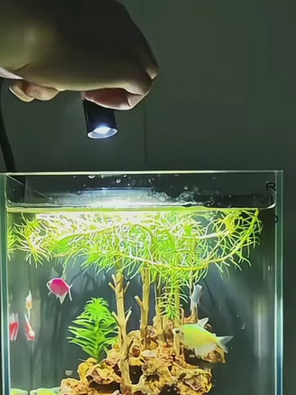 Petzlifeworld Mini LED Aquarium Spotlight 1W | Adjustable Focus Warm Light | Waterproof Submersible Lamp for Fish Tank & Aquarium Plants | Compact Clip-On Design Brand: VAYINATO