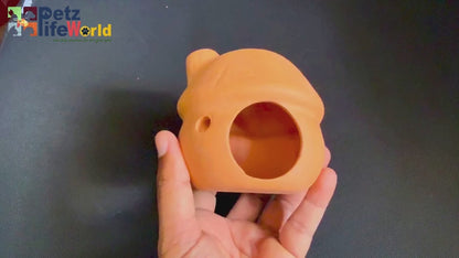 Petzlifeworld (Mushroom House Natural Clay Fish Tank Hideout | Aquarium Ornament Decoration for Small Fish & Shrimp | Terracotta Shelter for Resting, Hiding & Aquascaping