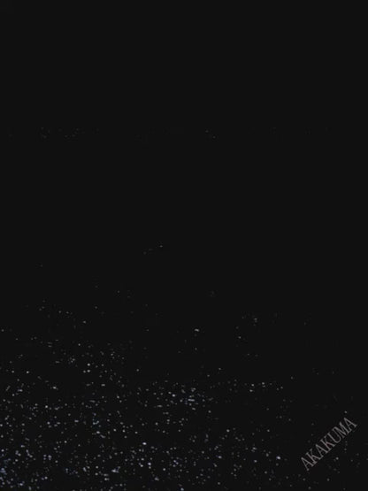 petzlifeworld Mini  and small Portable Fishing Tackle Box, 1pc Black Multi-Compartment Organizer with Lockable Lid & Design, Durable Lure Storage Case for Hooks, Rigs & Fishing Gear, Ideal for Anglers & Outdoor Use