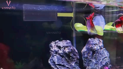 Petzlifeworld Betta Fish Acrylic Tunnel Tube, Transparent Betta Fish Toys Hideout Tube with Suction Cups (7.8*4*4 cm)