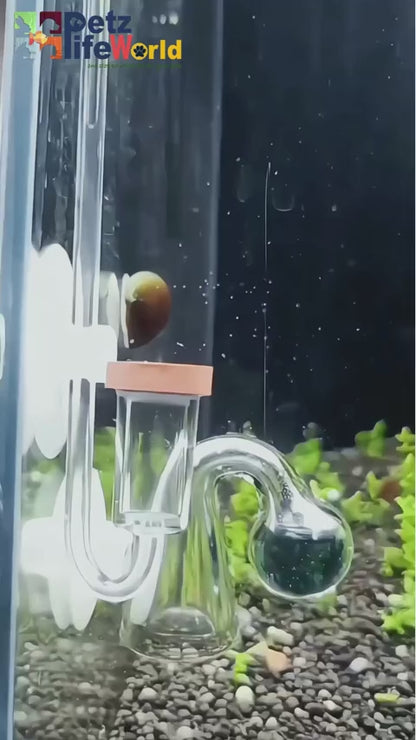 Aquapro Acrylic MicroBubbles Co2 Diffuser for Planted Aquarium