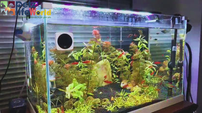 YEE  One Touch LCD Digital Display White Square Aquarium Fish Tank External Thermometer