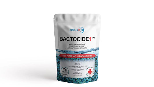 Discus X Bactocide -1 | Natural External Bacteria Destroyer 20g