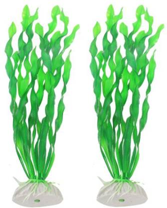 PetzLifeWorld 12 Inch Spiral Valisnaria Plastic Aquarium Plants For Decoration Pack of 2 Bunch Aquarium Plant Anchor  ({Plant Anchors2)