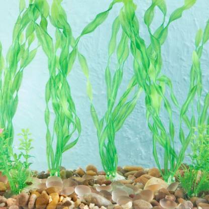 PetzLifeWorld 12 Inch Spiral Valisnaria Plastic Aquarium Plants For Decoration Pack of 2 Bunch Aquarium Plant Anchor  ({Plant Anchors2)