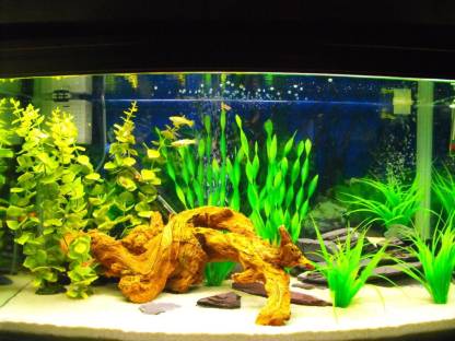 PetzLifeWorld 12 Inch Spiral Valisnaria Plastic Aquarium Plants For Decoration Pack of 2 Bunch Aquarium Plant Anchor  ({Plant Anchors2)