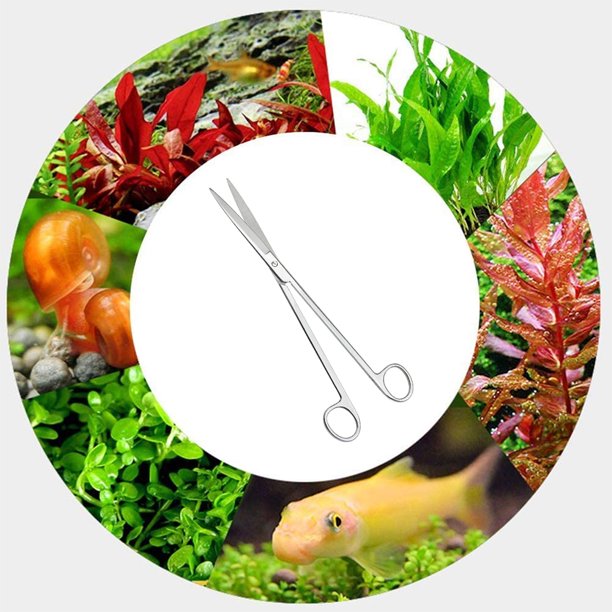 Aquarium Plant Scissor | STRAIGHT | 27 CM | Stainless Steel