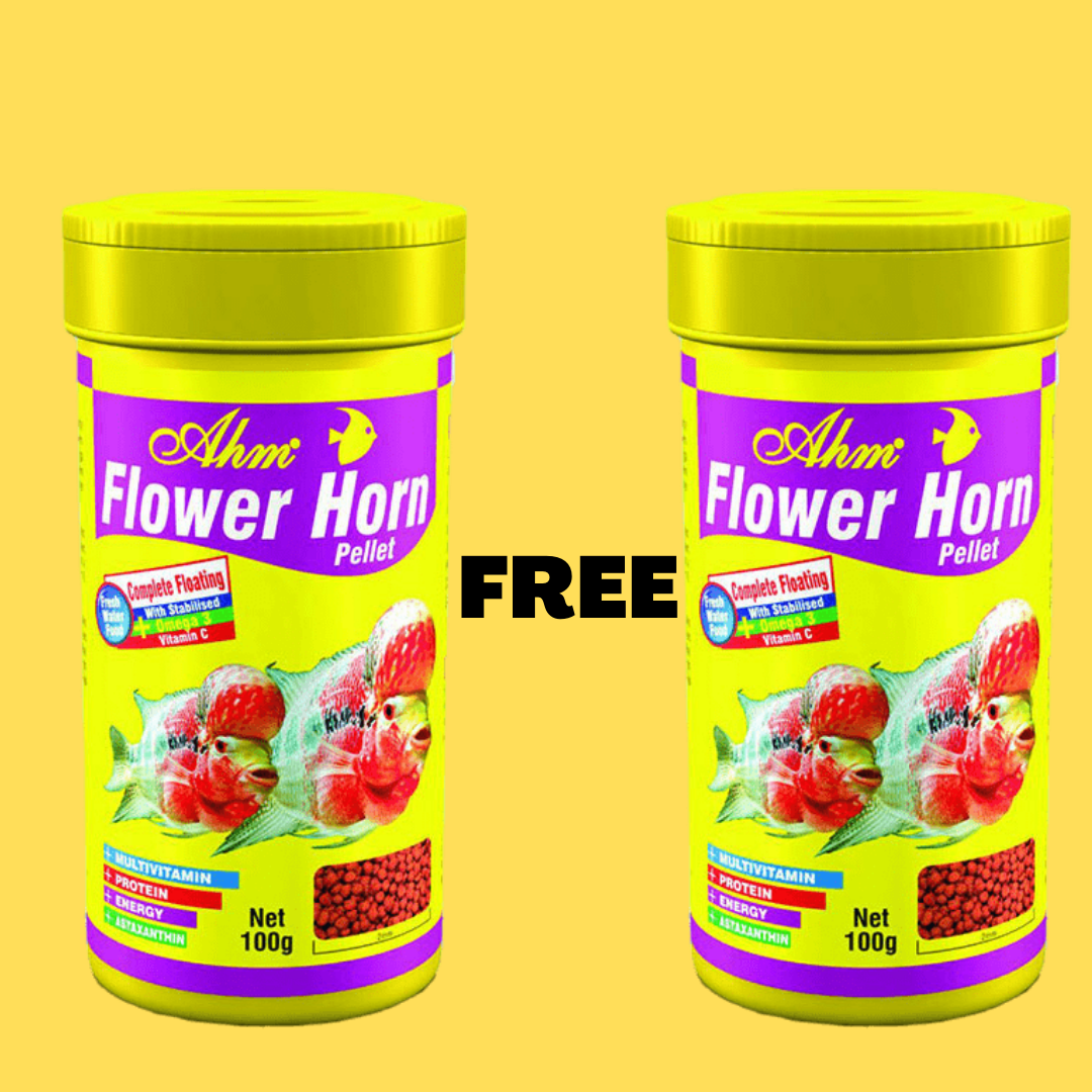 AHM FlowerHorn Fish Food 250ML | 100g Buy 1 Get 1 Free | Floating Fish Food With Omega 3 and Vitamin C