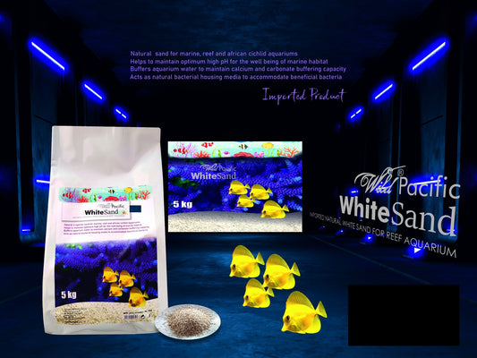 Aquatic Remedies Wild Pacific White Sand, 5 Kg | Imported Natural White Sand For Marine Aquarium