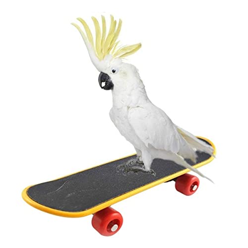 Petzlifeworld Bird Toys Parrot Toys Funny Intelligence Skateboard Toy Stand Perch Toy for Parakeet Cocktails Bird Training Accessories