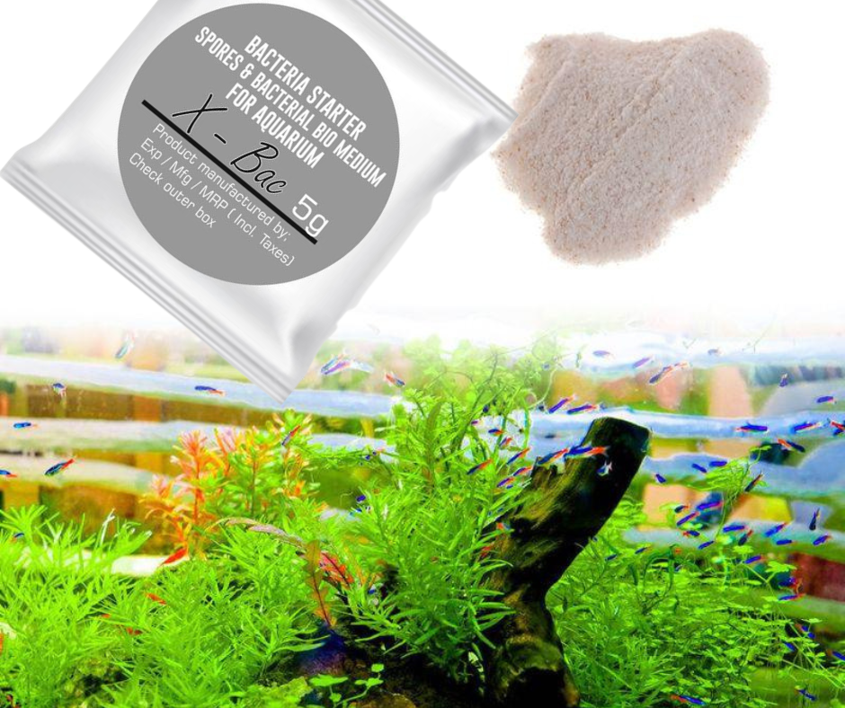 Aquatic Remedies X-Bac Beneficial Bacteria For Aquarium 5g Pack of 5