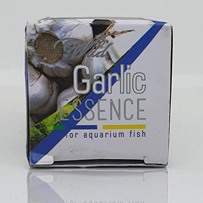 Aquatic Remedies WILD Garlic Essence, 50ML | Digestion Supplement & Immunity Booster