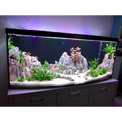 Petzlifeworld Aquascaping Natural Glittering Tourmoline Rock For Aquar –  Petzlifeworld