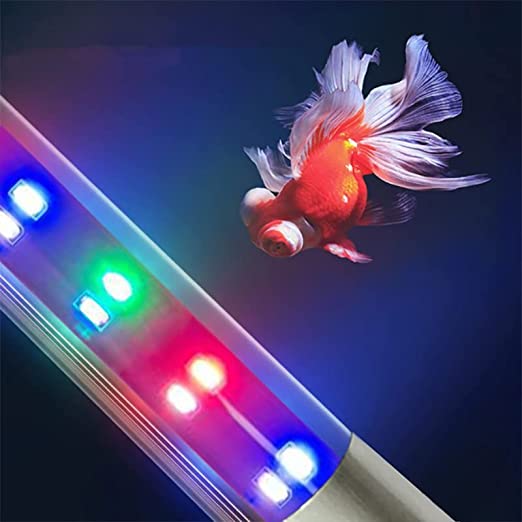 RS Electricals Double Row High Brightness WRGB T8 C Series Led Light  for Aquarium Fish Tank