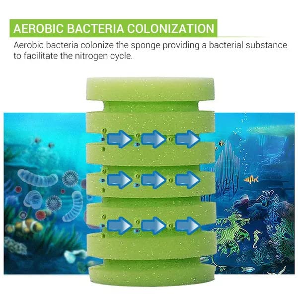 Xinyou XY-2902 Aquarium Biochemical Double Sponge Filter Pump with 2 Extra Black Sponge and Filter Media for Aquarium Fish Tank