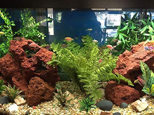 Red Lava Stone for Aquarium, Natural Volcanic Rock Landscape Decoratio ...