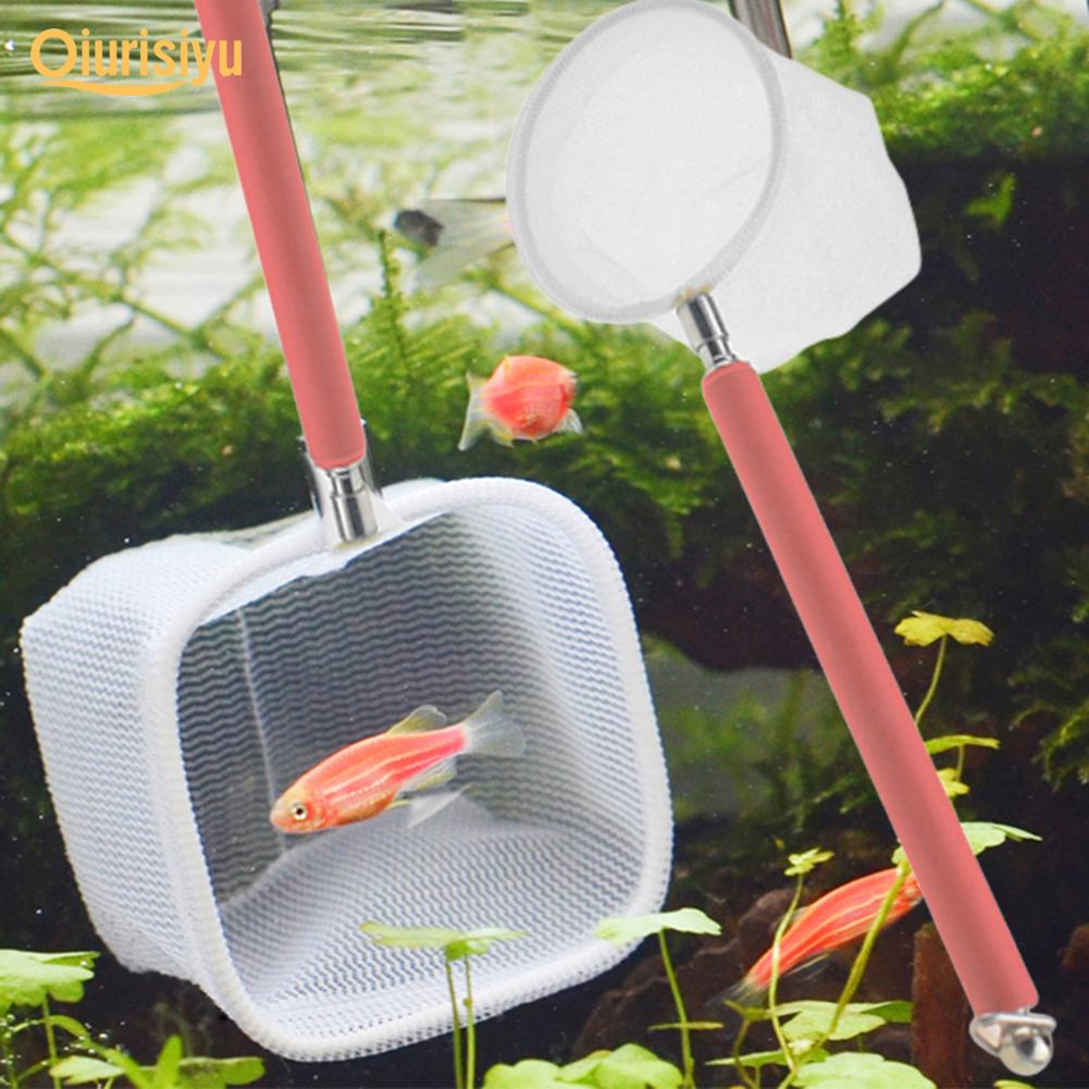 Extendable Shrimp Catching Net For Shrimp and Small Fish With Stainless Steel Rod