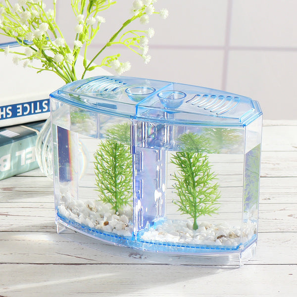 Petzlifeworld Acrylic Mini plastic Fish Tank /Betta / Fighter - PetzLifeWorld