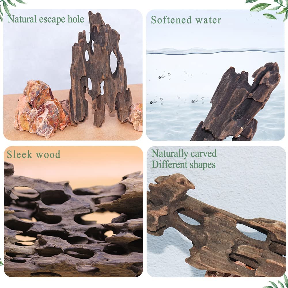 Honey Comb Natural Drift Wood | Dragon Wood | Shrimp Wood For Aquarium and Terrarium and Reptiles
