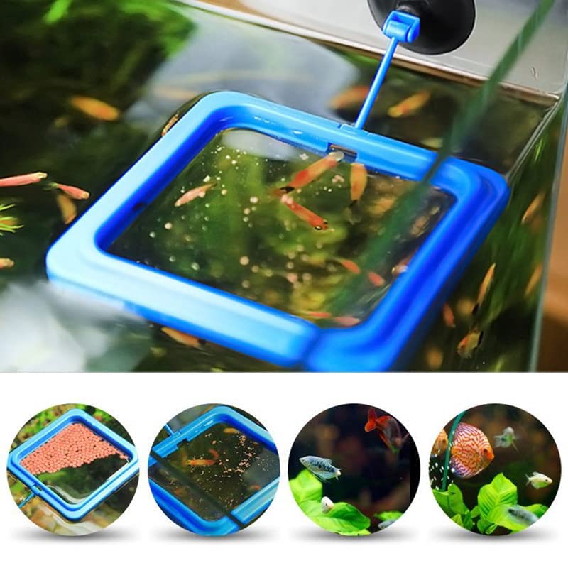 PetzLifeworld Aquarium Fish Tank Floating Fish Feeding Ring with Suction Cup (Square)