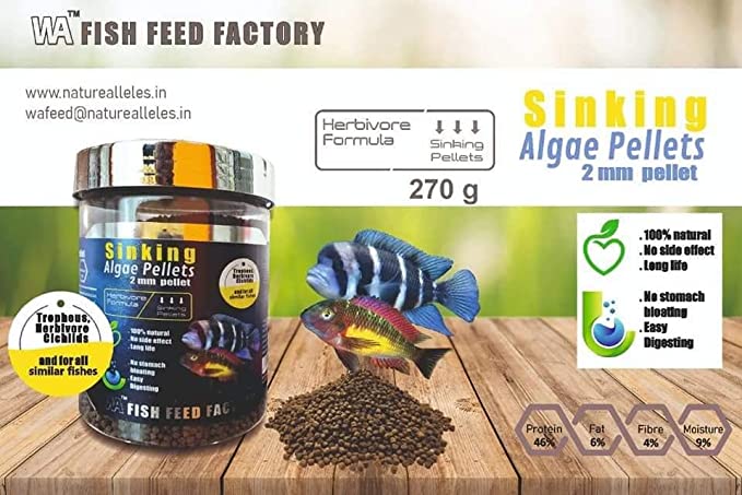 WA Sinking Algae Pellets 500 ML (270G) | South American Cichlids and for All Similar Fishes