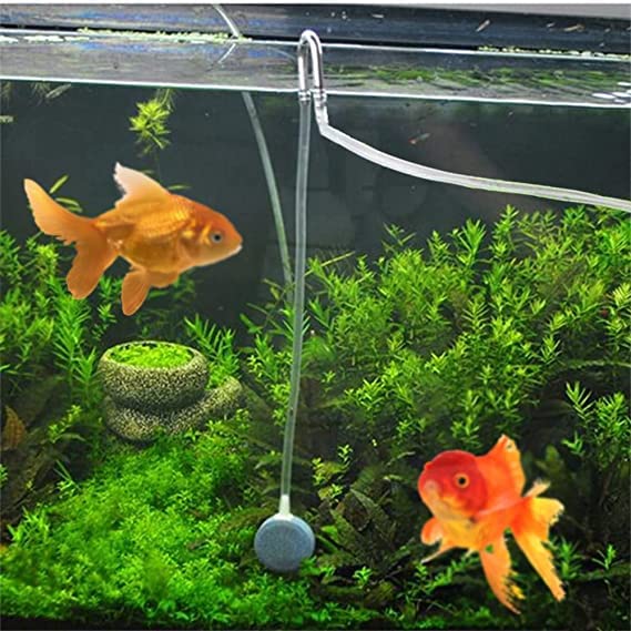PetzLifeWorld Aquarium Fish Tank Transparent U Bend for O2 and Co2 Tube | Helps Tube not to Bend