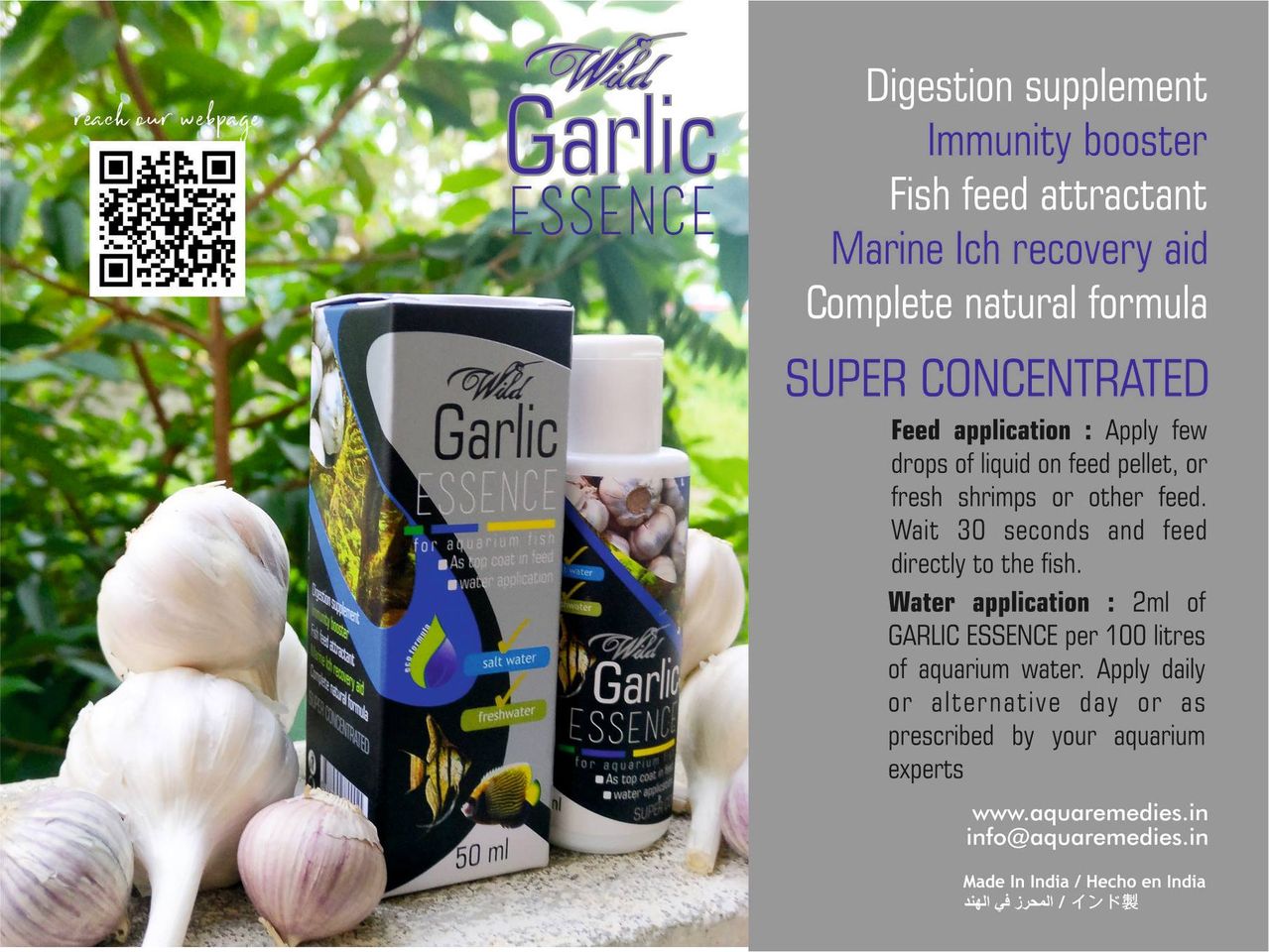 Aquatic Remedies WILD Garlic Essence, 50ML | Digestion Supplement & Immunity Booster