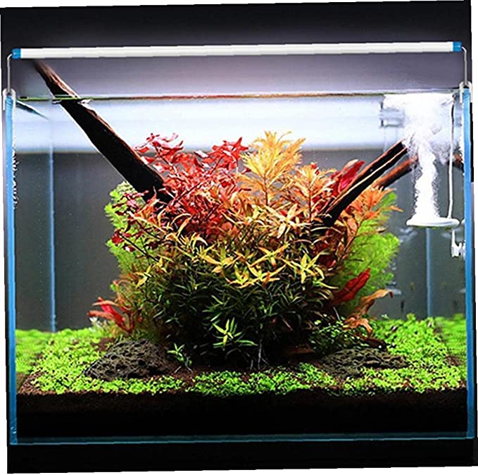 Petzlifeworld Planted Aquarium Bracket White with Blue Cross LED Strip Light | High Brightness