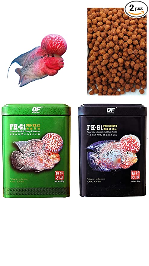 Ocean Free (Original) FH-G1 PRO Head, Natural Nuchal Hump Enhancer & FH-G1 RED Syn, Natural Colour Enhancer with Nuchal Hump Promoter (2x120G) Flower Horn Fish Food Combo