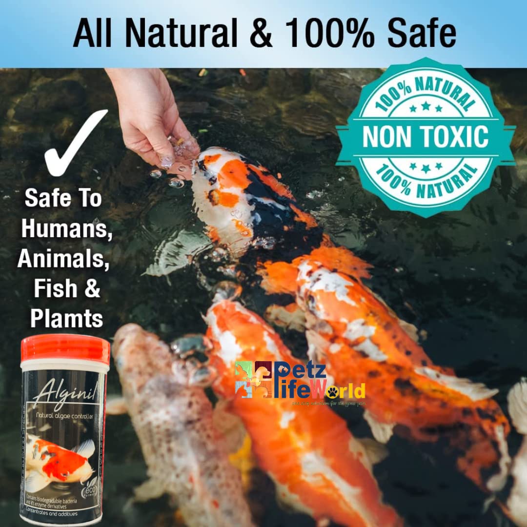Aquatic Remedies ALGI-NIL,100g | Natural Algae Controller for Koi, Tropical, Indoor, Gardening Pond