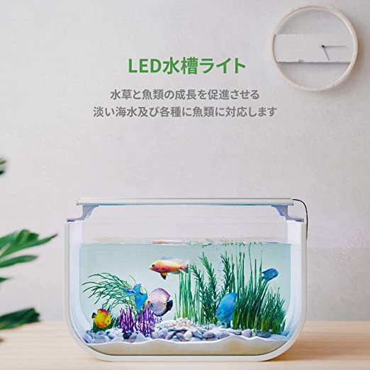 Blue Pet Planted Aquarium White Frame Slim Light with 3 Mode (White+ Blue, RGB, WRGB) Colour Option