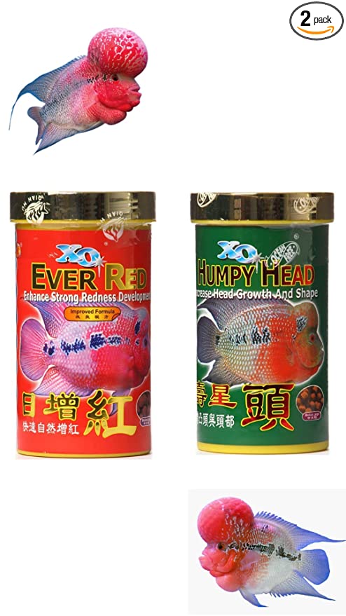 Ocean Free (Original) XO Humpy Head, Increase Head Growth and Shape, 100G & XO Ever Red, Enhance Strong Redness Development,100G for Flower Horn Fish Food Combo