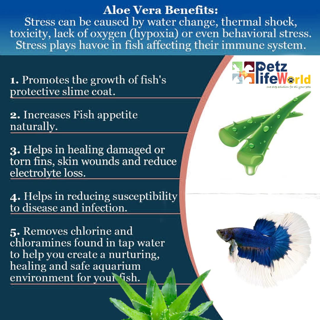 Aquatic Remedies Stori Betta Well Sure | Aloe Vera Infused All in One Complete Solution for Betta Fish Health Related Issue Like FinRot, External Wounds and Dropsy (30ML* Pack of 2) - 60ML