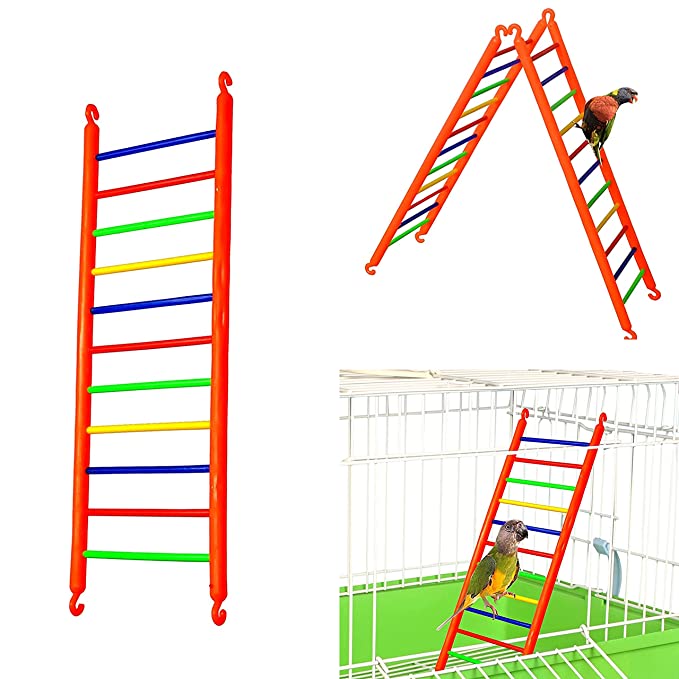 Petzlifeworld Birds Colorful Plastic Climb Ladder Toy (Pack of 2) Cage Accessories for Love Birds, Parrot, Parakeet, Budgies, Cockatiel, Etc. (Large - 33CM)