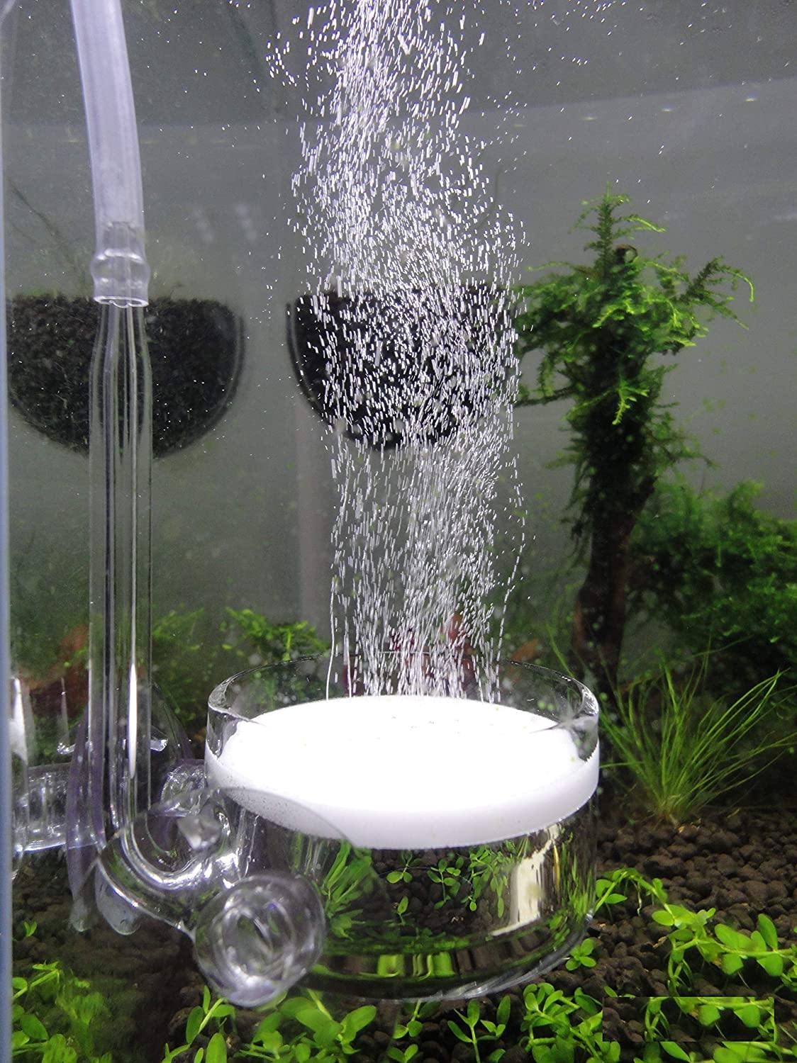 Planted Aquarium Flat Bottom Co2 Diffuser - Medium - PetzLifeWorld