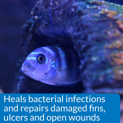 API Melafix, Freshwater Fish Bacterial Infection Remedy, 4 oz