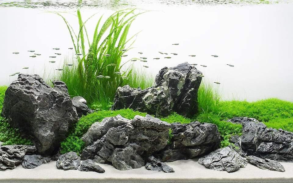 Seiryu Rock for Aquascaping, Aquariums, Terrariums, Vivariums River Rock