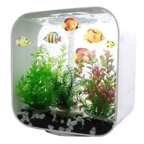 Petzlifeworld Artificial Decorative Plastic Floating Moving Fishes ( Pack Of 5) - PetzLifeWorld