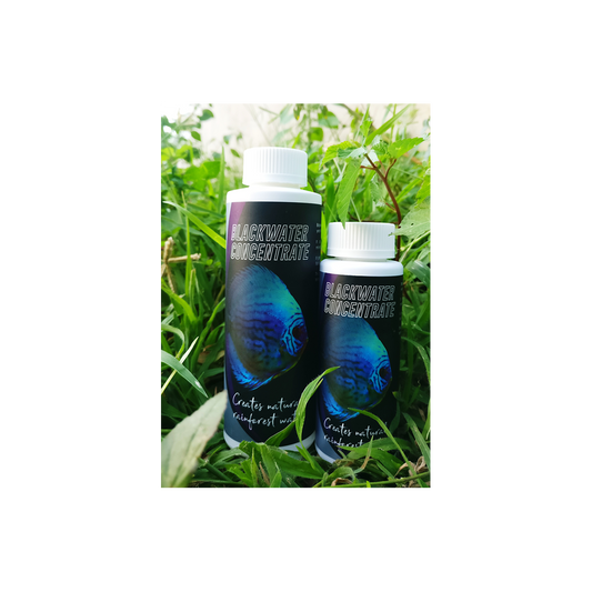 Aquatic Remedies Blackwater Concentrate Aquarium Water Conditioner 120ml - PetzLifeWorld