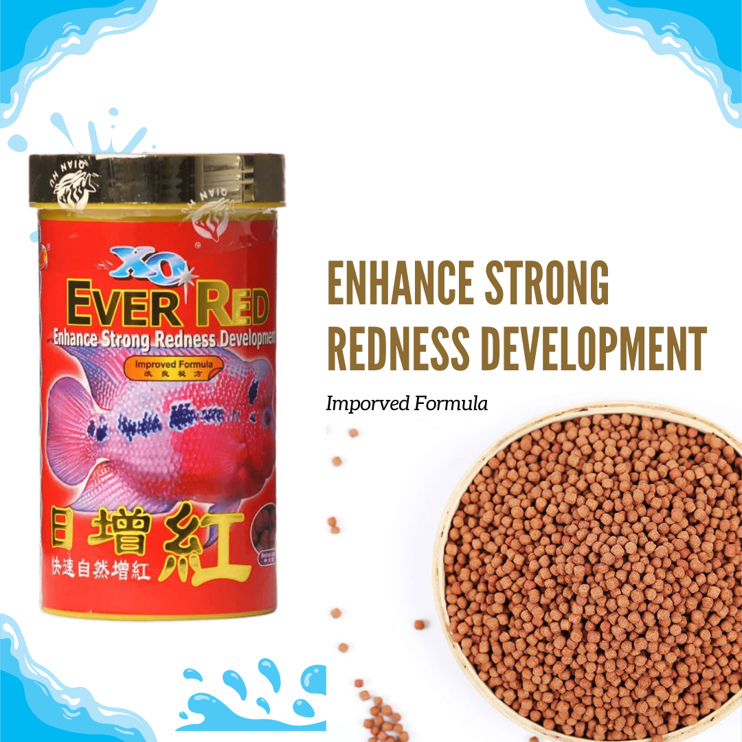 Ocean Free XO Ever Red (Original) Fish Food, 280ML/100G | Enhance Strong Redness Development for Flowerhorn Fish