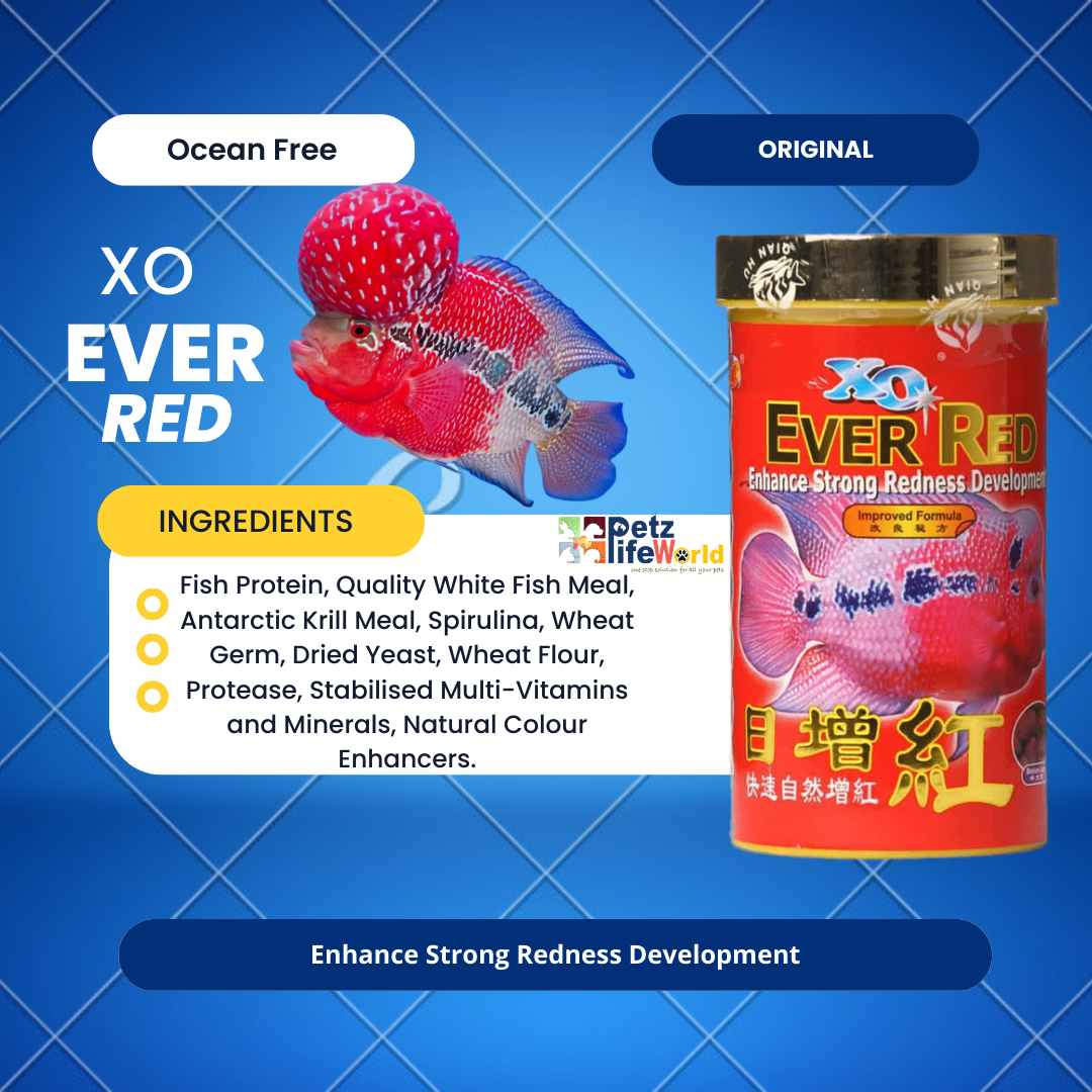 Ocean Free XO Ever Red (Original) Fish Food, 280ML/100G | Enhance Strong Redness Development for Flowerhorn Fish
