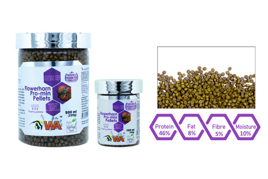 WA Flowerhorn Pro-min Pellets - PetzLifeWorld